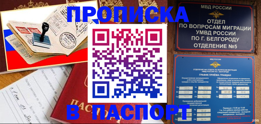 купить прописку в Белой Холунице